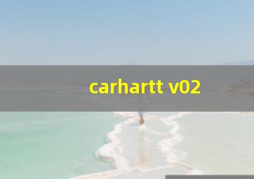 carhartt v02